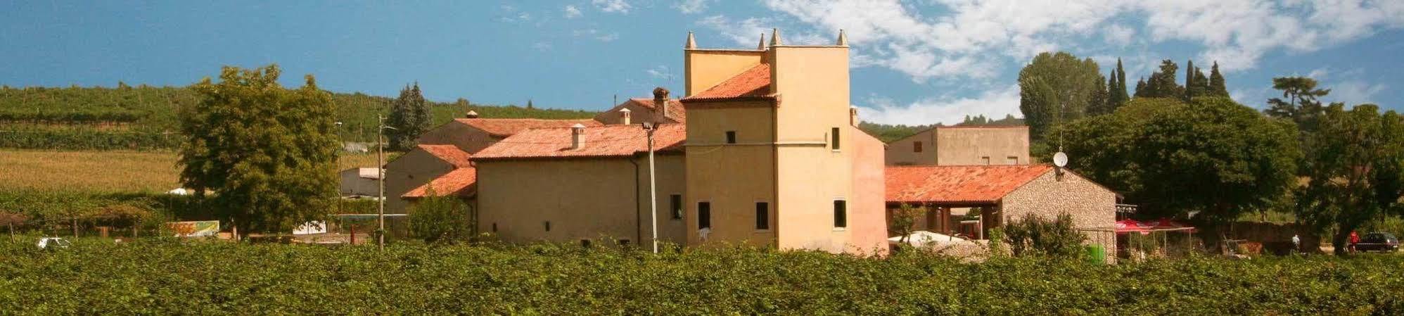 Agriturismo Nicobresaola Sommacampagna Exterior photo